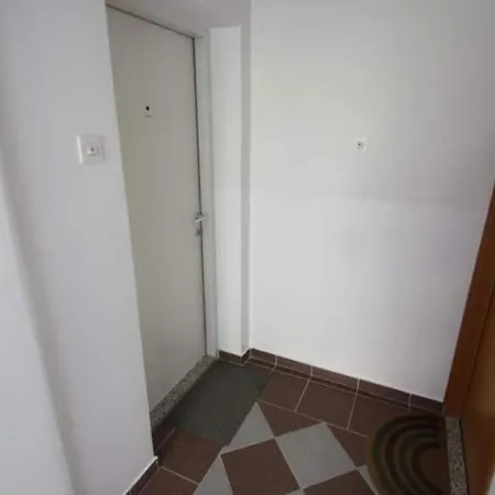 Tomasovic * 茨里克韦尼察